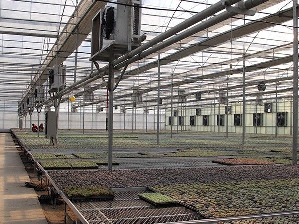 智能溫室餐廳